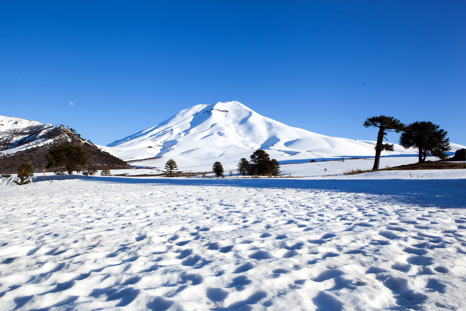 Vulcão Lonquimay, no sul do Chile