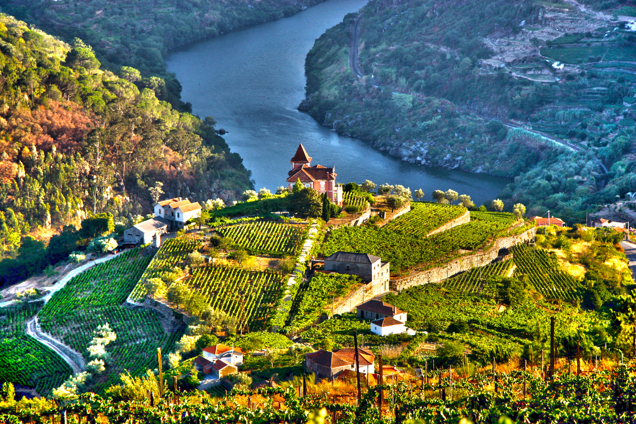 Vista apanorâmica do Vale Douro