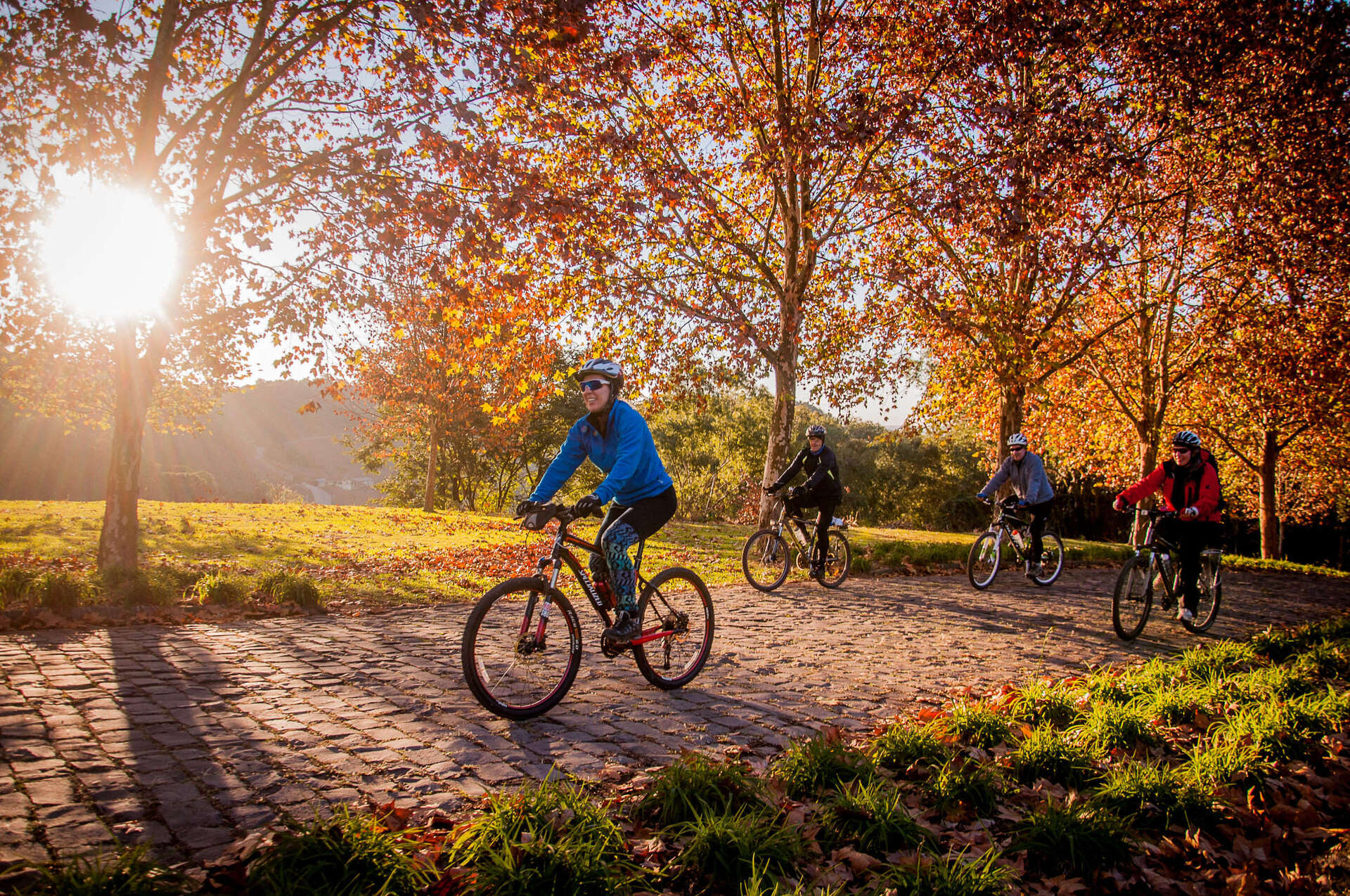 Pedalada entre vinhedos, na Serra Gaúcha