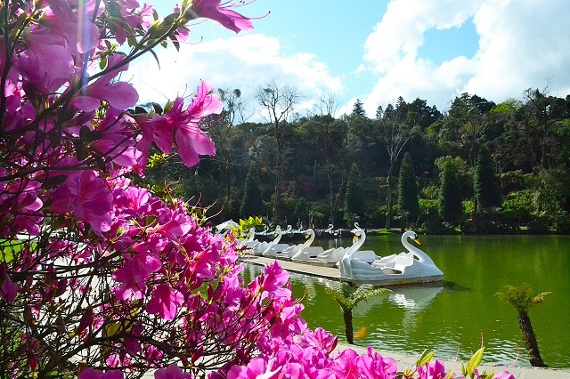 Lago Negro, Gramado