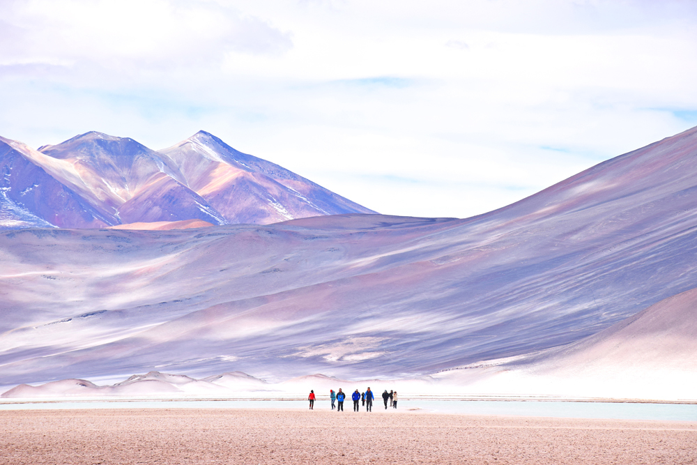 Lagunas Altiplânicas – Atacama – Chile