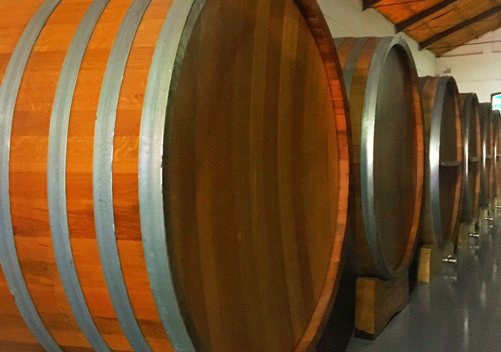 Os visitantes recebem um tour para saber como são produzidos os vinhos na bodega