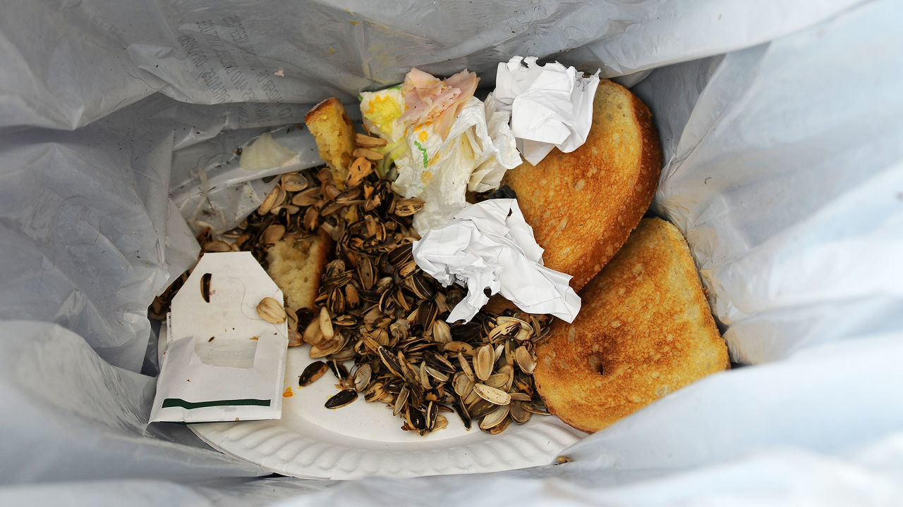 Сколько лет было еде. Объедки в мусорном ведре. Хлеб в мусорке. Выброшенный хлеб.