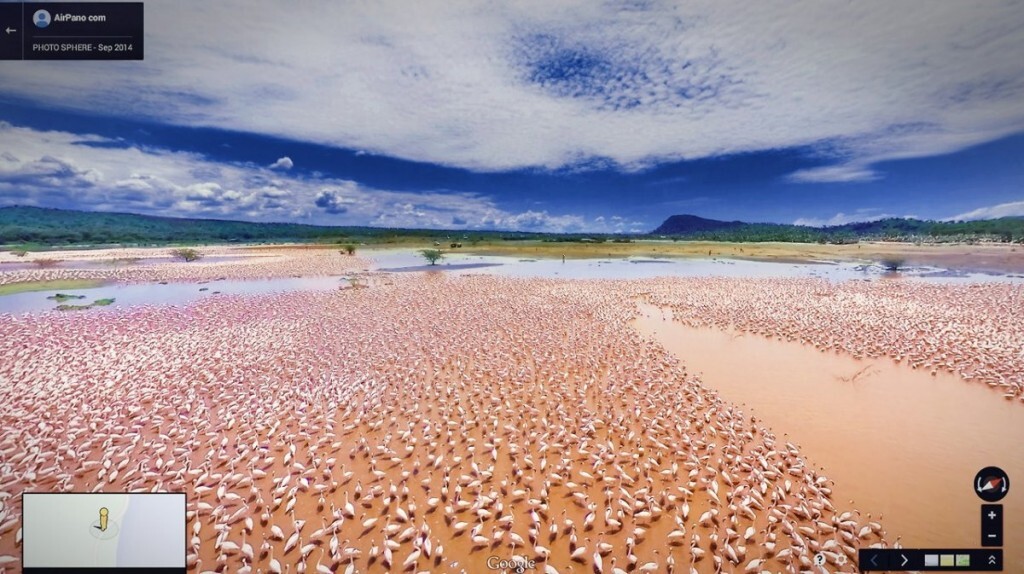 Flamingos em um lago no Quênia, na África