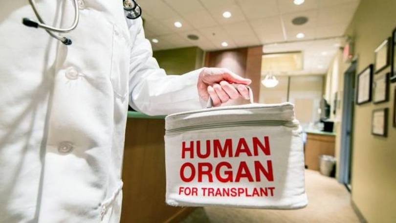 eTrasnplante ainda está em fase de testes (Imagem: Divulgação)