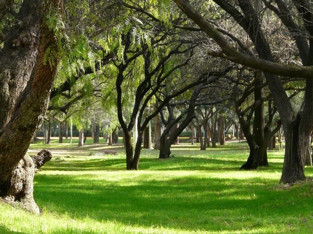 Dispositivo monitora o local, processa os dados, interpreta o ambiente e, a partir disso, toma uma decisão operacional
