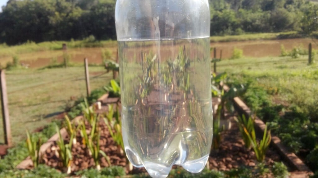 O sistema natural para tratamento de esgotos em áreas rurais foi adaptado pelo engenheiro Jonas Rodrigo dos Santos