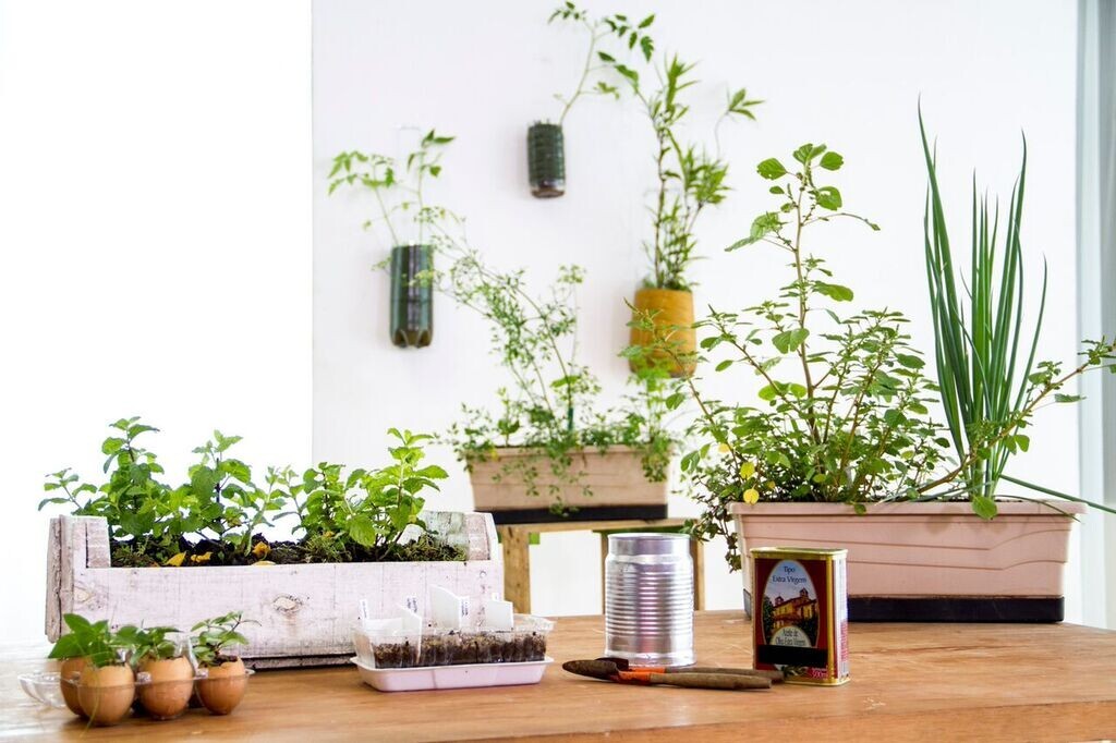 Você se sente bem só de olhar para essas plantas, não é?