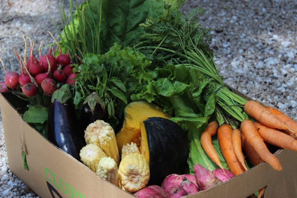 A cesta semanal custa de R$ 99 (7 itens de legumes/verduras) a R$ 198 (5 kg de frutas)