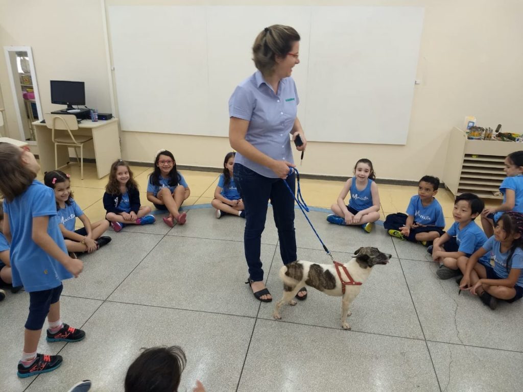 Atividade traz para o ambiente educacional a discussão sobre a importância da solidariedade e do respeito aos animais