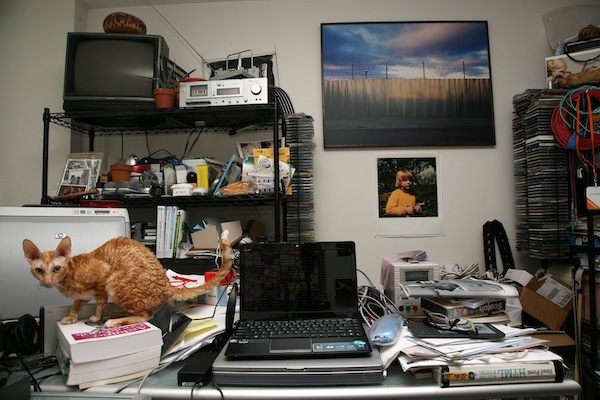 Alberto Gaitan, artista